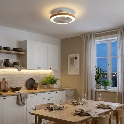 Brilagi - LED Stmívatelný stropní ventilátor LED/38W/230V 50 cm bílá/hnědá + dálkové ovládání