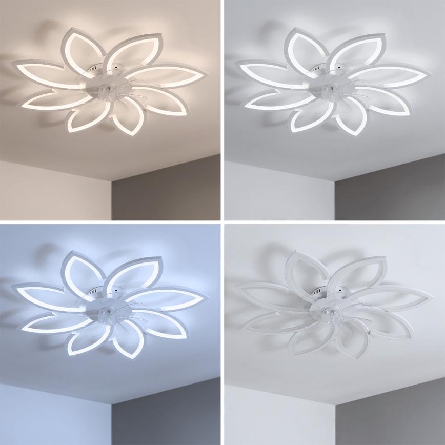 Brilagi - LED Stmívatelný stropní ventilátor LED/43W/230V pr. 90 cm bílá + dálkové ovládání