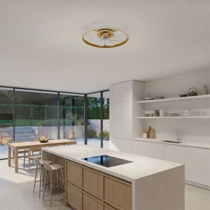 Brilagi - LED Stmívatelný stropní ventilátor LED/66W/230V 55 cm bílá/zlatá + dálkové ovládání
