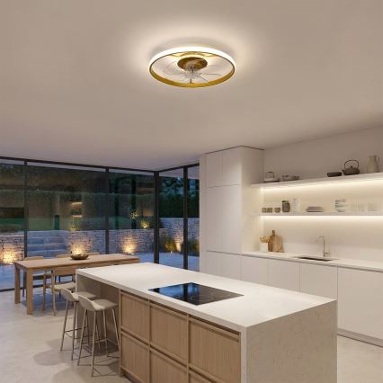Brilagi - LED Stmívatelný stropní ventilátor LED/66W/230V 55 cm bílá/zlatá + dálkové ovládání