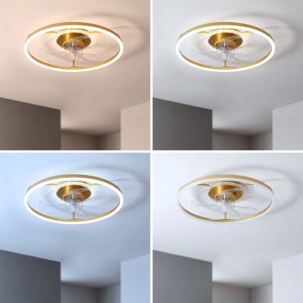 Brilagi - LED Stmívatelný stropní ventilátor LED/66W/230V 3000-6500K pr. 55 cm bílá/zlatá + dálkové ovládání