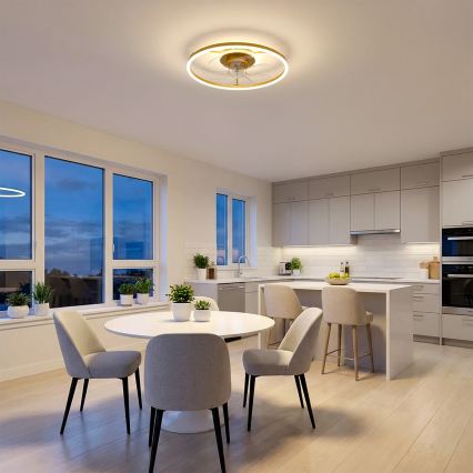 Brilagi - LED Stmívatelný stropní ventilátor LED/66W/230V 3000-6500K pr. 55 cm bílá/zlatá + dálkové ovládání