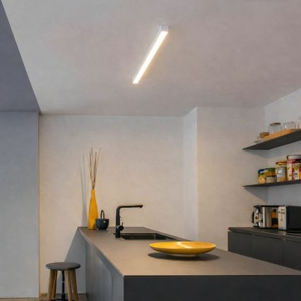 Brilagi - LED Stropní přisazené svítidlo FULLDAY LED/10/15/20W/230V 2700/4000/6000K 60 cm bílá