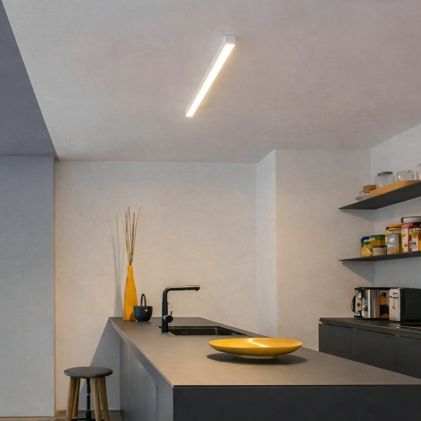 Brilagi - LED Stropní přisazené svítidlo FULLDAY LED/10/15/20W/230V 2700/4000/6000K 60 cm bílá