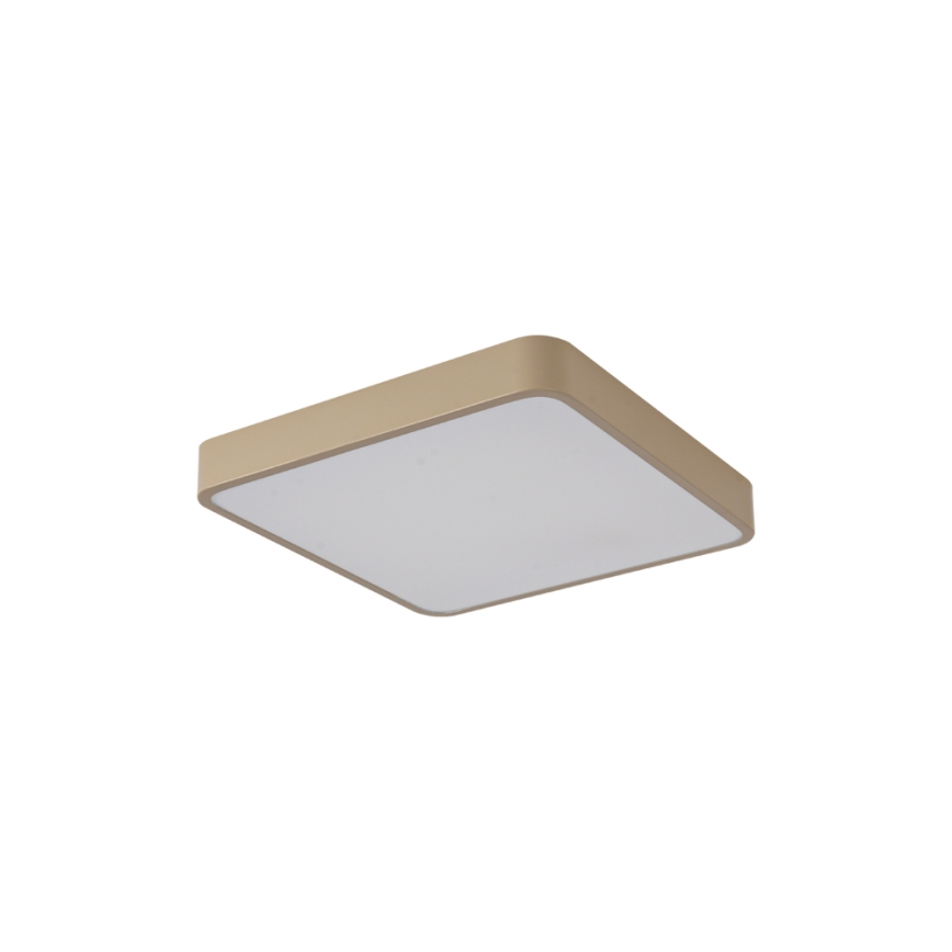 Brilagi - LED Stropní svítidlo POOL SQUARE LED/36W/230V 3000/4000/6000K 40x40 cm béžová
