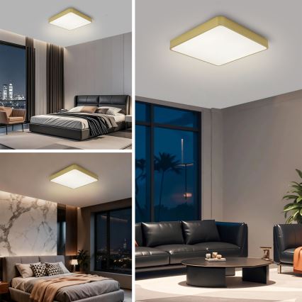 Brilagi - LED Stropní svítidlo POOL SQUARE LED/48W/230V 3000/4000/6000K 50x50 cm zlatá