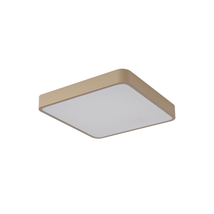 BRILAGI - LED Stropní svítidlo POOL SQUARE LED/48W/230V 3000/4000/6000K 50x50 cm béžová