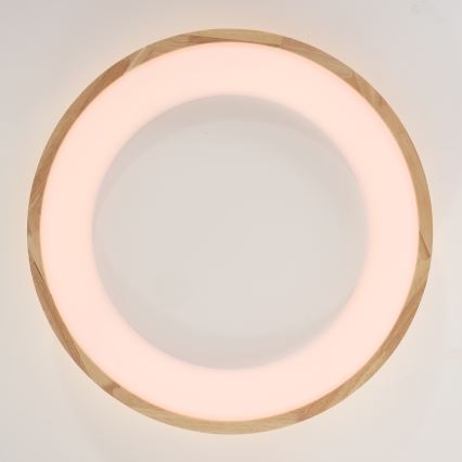 Brilagi - LED Stropní svítidlo FALCON WOOD LED/40W/230V 3000/4000/6000K pr. 60 cm dřevo