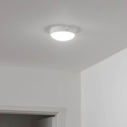 Brilagi - LED Stropní průmyslové svítidlo SIMA LED/12W/230V IP65 bílá