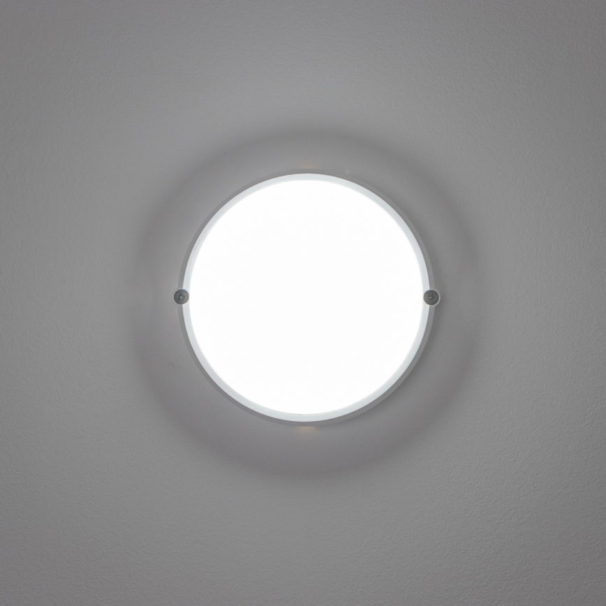 Brilagi - LED Stropní průmyslové svítidlo SIMA LED/12W/230V IP65 bílá