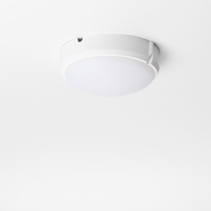Brilagi - LED Stropní průmyslové svítidlo SIMA LED/12W/230V IP65 bílá