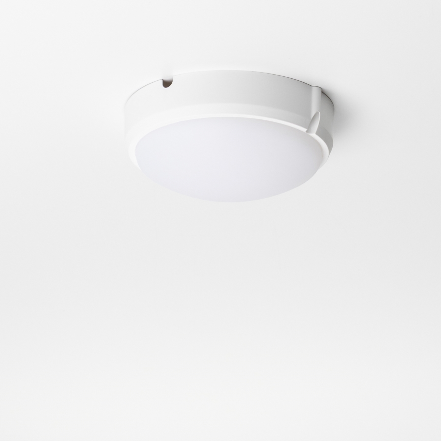 Brilagi - LED Stropní průmyslové svítidlo SIMA LED/12W/230V IP65 bílá