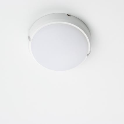 Brilagi - LED Stropní průmyslové svítidlo SIMA LED/12W/230V IP65 bílá