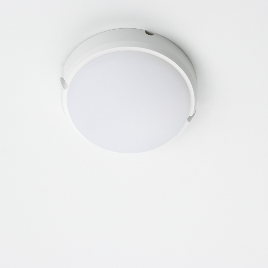 Brilagi - LED Stropní průmyslové svítidlo SIMA LED/12W/230V IP65 bílá