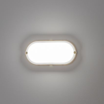 Brilagi - LED Stropní průmyslové svítidlo SIMA LED/12W/230V IP65 bílá