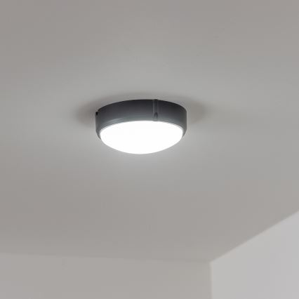 Brilagi - LED Stropní průmyslové svítidlo SIMA LED/12W/230V IP65 černá