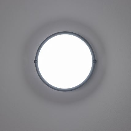 Brilagi - LED Stropní průmyslové svítidlo SIMA LED/12W/230V IP65 černá