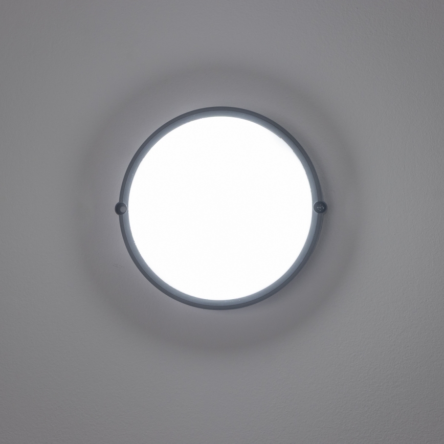 Brilagi - LED Stropní průmyslové svítidlo SIMA LED/12W/230V IP65 černá