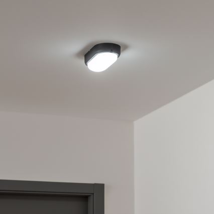 Brilagi - LED Stropní průmyslové svítidlo SIMA LED/12W/230V IP65 černá
