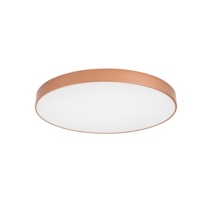BRILAGI - LED Stropní svítidlo POOL LED/100W/230V 3000/4000/6000K pr. 80 cm měděná