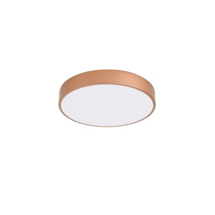 BRILAGI - LED Stropní svítidlo POOL LED/48W/230V 3000/4000/6000K pr. 40 cm měděná