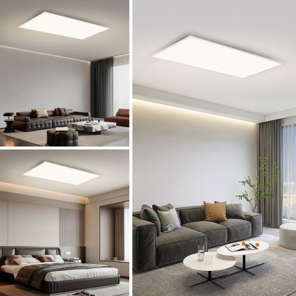 Brilagi - LED Stropní svítidlo SLIMFRAME LED/80W/230V 120x60 cm 3000/4000/6000K bílá