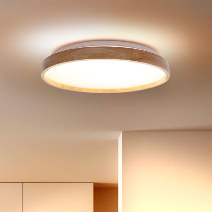 Brilagi - LED Stropní svítidlo ALSON LED/24W/230V dub