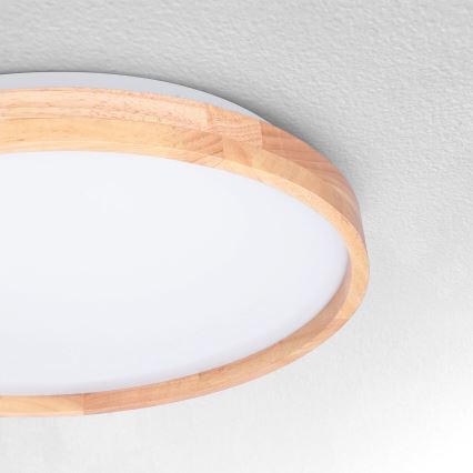 Brilagi - LED Stropní svítidlo ALSON LED/24W/230V dub