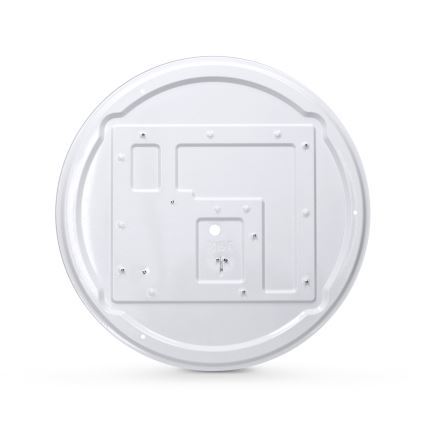 Brilagi - LED Stropní svítidlo ALSON LED/24W/230V dub