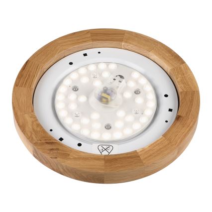 Brilagi - LED Stropní svítidlo BELLADONNA LED/20W/230V pr. 30 cm bílá/dub