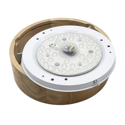 Brilagi - LED Stropní svítidlo CARVALHO LED/20W/230V dub pr. 27,5 cm