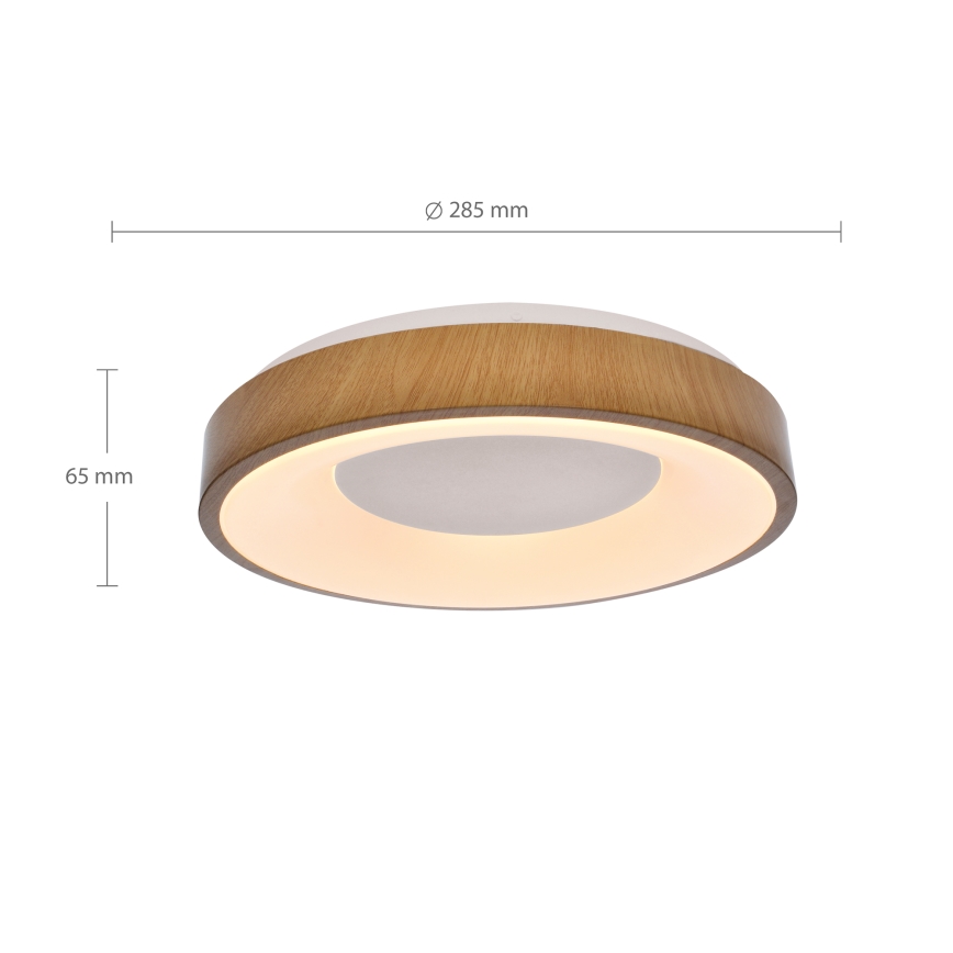 Brilagi - LED Stropní svítidlo DORIA LED/24W/230V