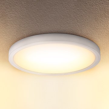 Brilagi - LED Stropní svítidlo ESTELA LED/18W/230V bílá