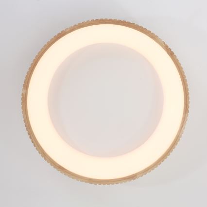 Brilagi - LED Stropní svítidlo FALCON WOOD MODERN LED/40W/230V 3000/4000/6000K pr. 60 cm dřevo