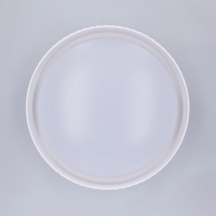 Brilagi - LED Stropní svítidlo LUCIA LED/24W/230V pr. 31 cm bílá