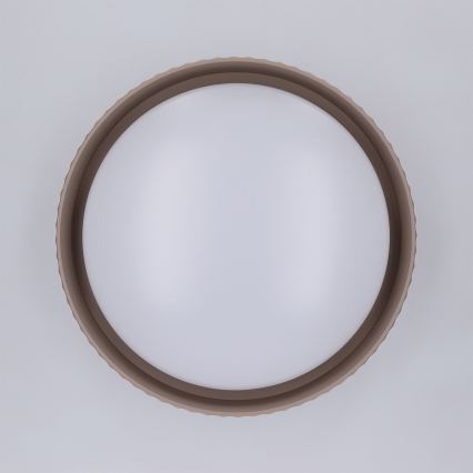 Brilagi - LED Stropní svítidlo LUCIA LED/24W/230V pr. 31 cm hnědá