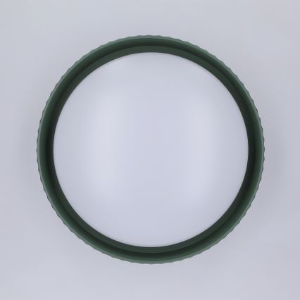 Brilagi - LED Stropní svítidlo LUCIA LED/24W/230V pr. 31 cm zelená
