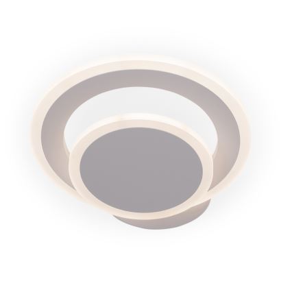 Brilagi - LED Stropní svítidlo MODERN MINI LED/22W/230V 3000/4000/6000K