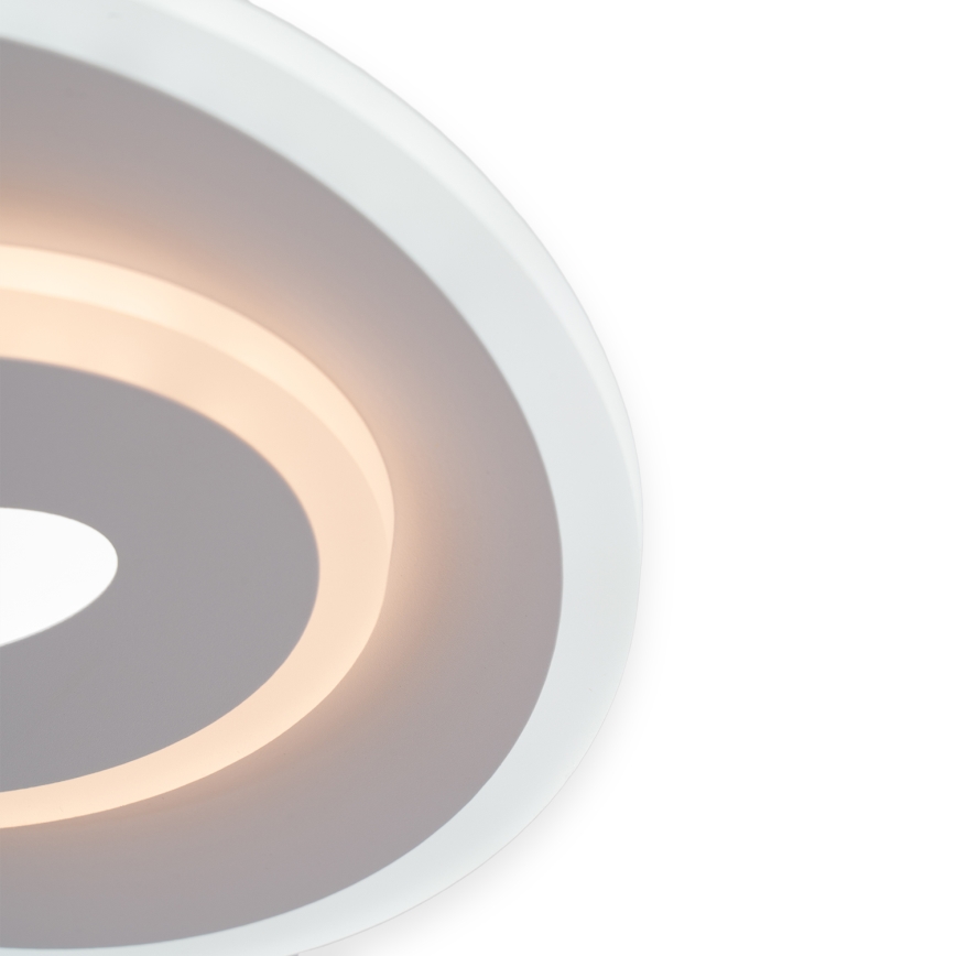 Brilagi - LED Stropní svítidlo MODERN MINI LED/26W/230V 3000/4000/6000K