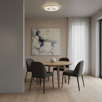 Brilagi - LED Stropní svítidlo MODERN MINI LED/29W/230V 3000/4000/6000K