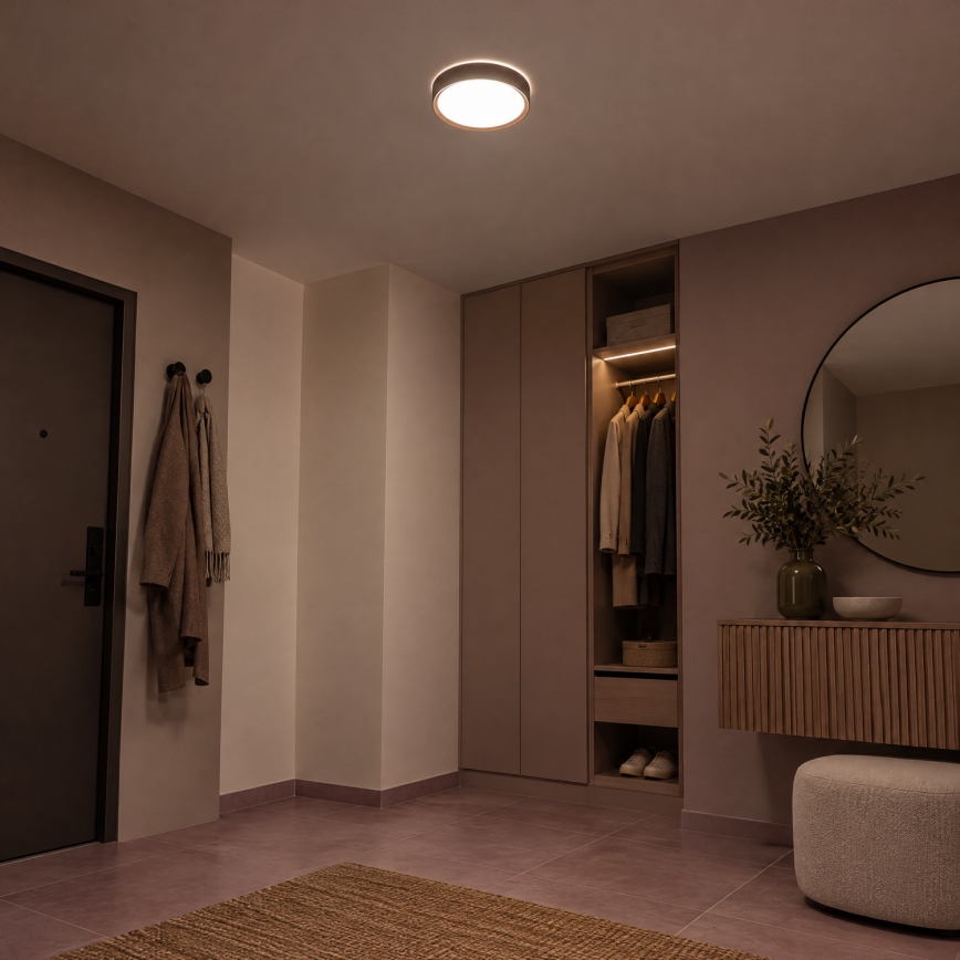 BRILAGI - LED Stropní svítidlo NATURA LED/12W/230V 4000K pr. 26,3 cm