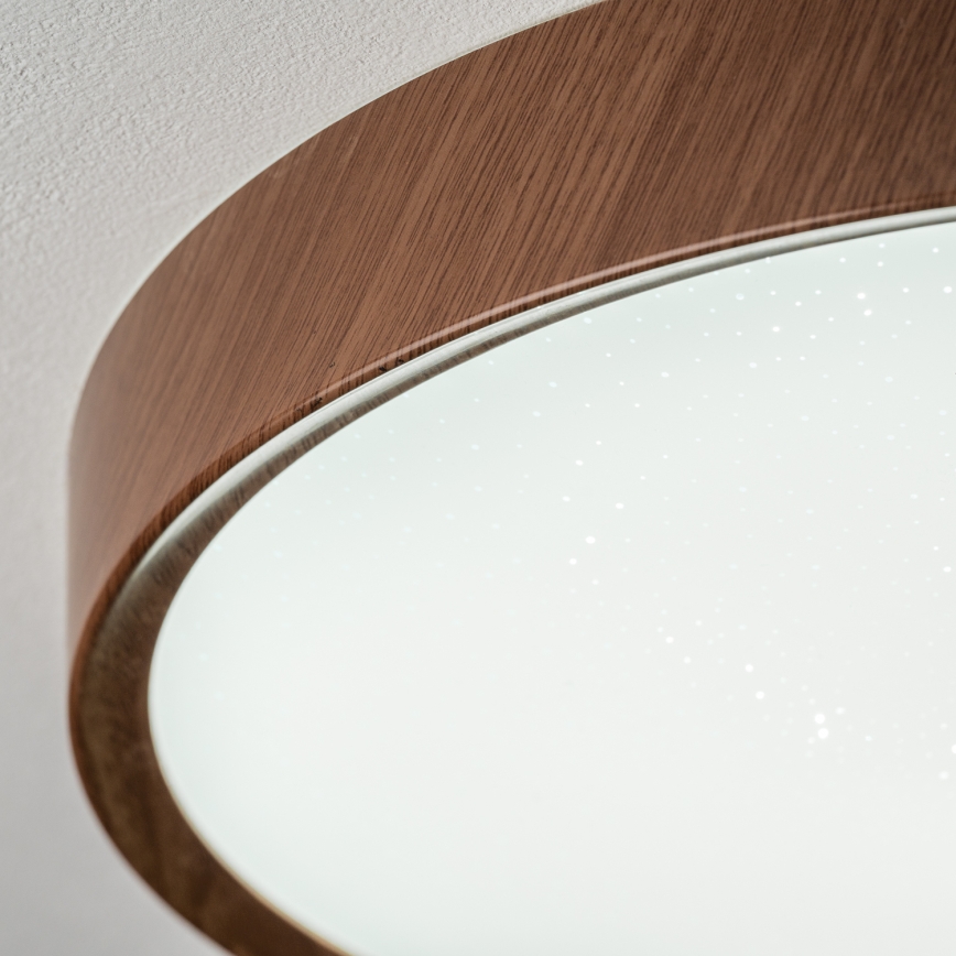 BRILAGI - LED Stropní svítidlo NATURA LED/12W/230V 4000K pr. 26,3 cm