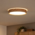 BRILAGI - LED Stropní svítidlo NATURA LED/12W/230V 4000K pr. 26,3 cm