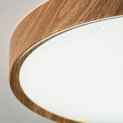 BRILAGI - LED Stropní svítidlo NATURA LED/12W/230V 4000K pr. 26,3 cm