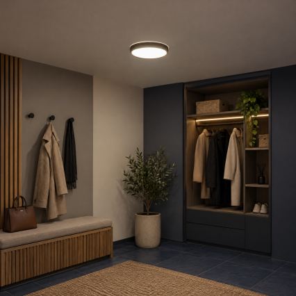 BRILAGI - LED Stropní svítidlo NATURA LED/20W/230V 4000K pr. 33,7 cm