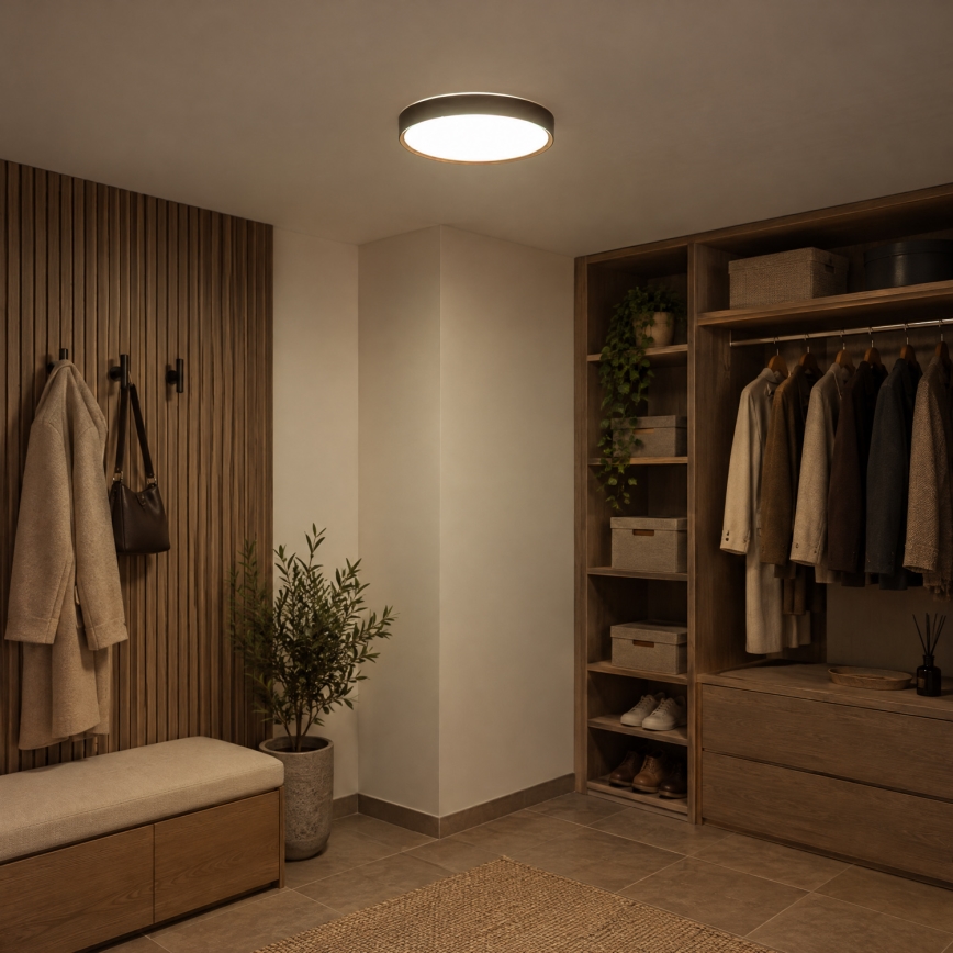 BRILAGI - LED Stropní svítidlo NATURA LED/24W/230V 4000K pr. 38,3 cm