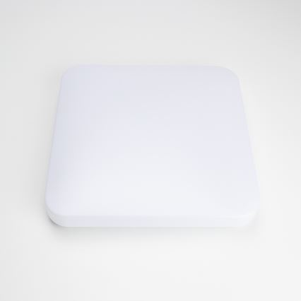 Brilagi - LED Stropní svítidlo OPAL LED/24W/230V