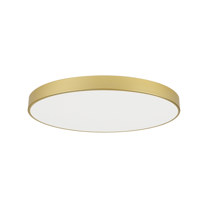 Brilagi - LED Stropní svítidlo POOL LED/128W/230V 3000/4000/6000K pr. 100 cm zlatá