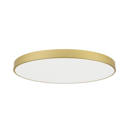Brilagi - LED Stropní svítidlo POOL LED/180W/230V 3000/4000/6000K pr. 120 cm zlatá