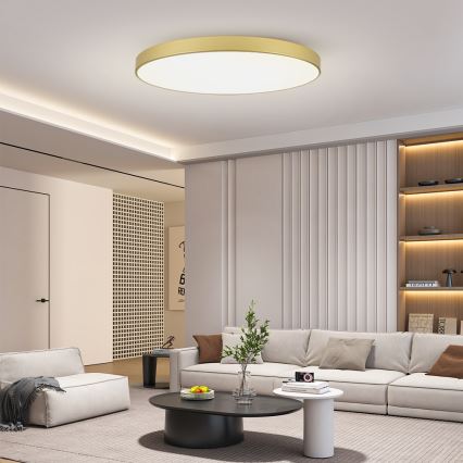 Brilagi - LED Stropní svítidlo POOL LED/180W/230V 3000/4500/6000K pr. 120 cm zlatá